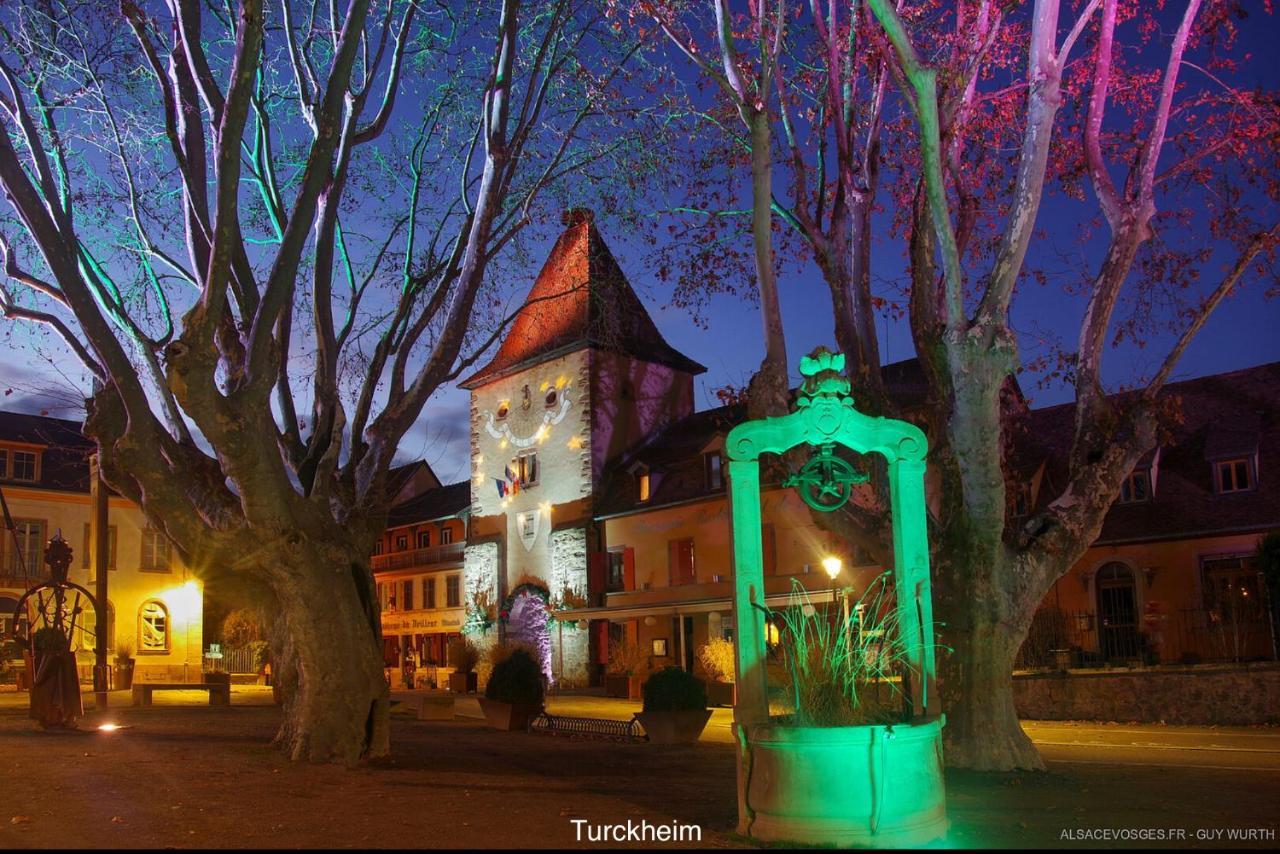 Chalet Du Silberrain Pres De Colmar - Cheminee, Sauna, Piscine Partagee Osenbach Eksteriør billede