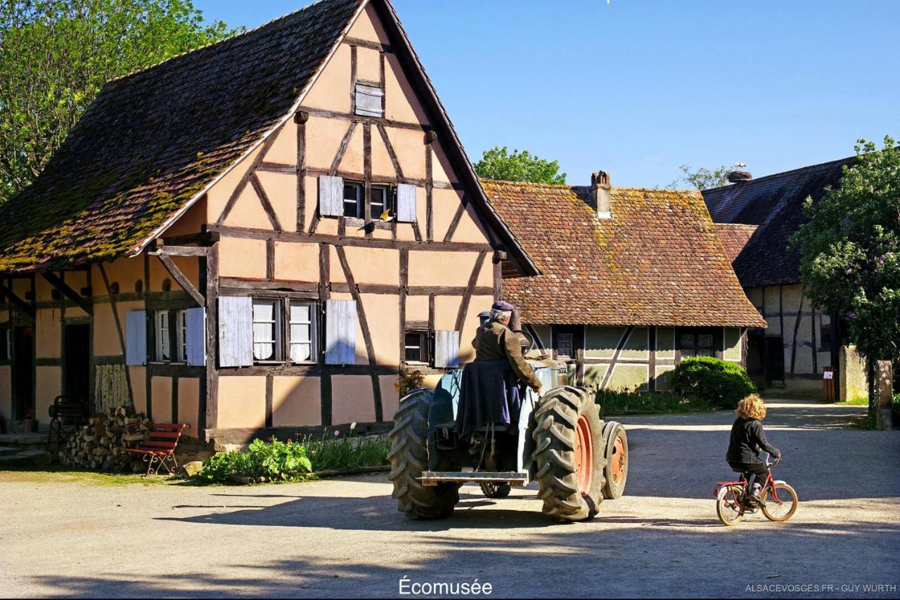 Chalet Du Silberrain Pres De Colmar - Cheminee, Sauna, Piscine Partagee Osenbach Eksteriør billede