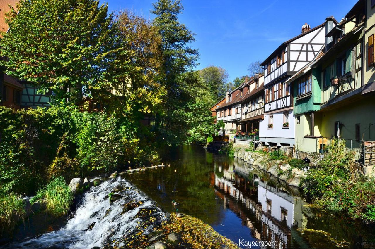 Chalet Du Silberrain Pres De Colmar - Cheminee, Sauna, Piscine Partagee Osenbach Eksteriør billede